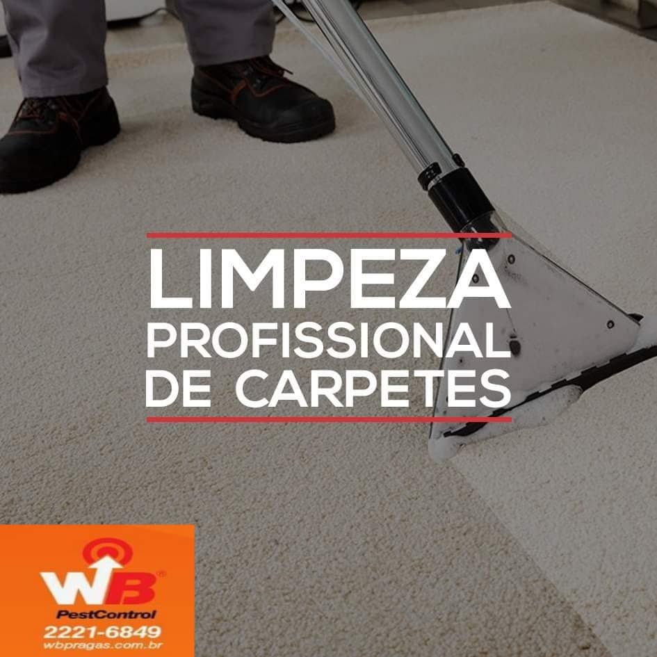 wb pragas - dedetização de baratas - limpeza de carpetes