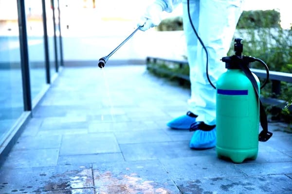 Dedetização de baratas condominios centro rj