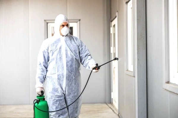 Dedetização de cupins condominios centro rj