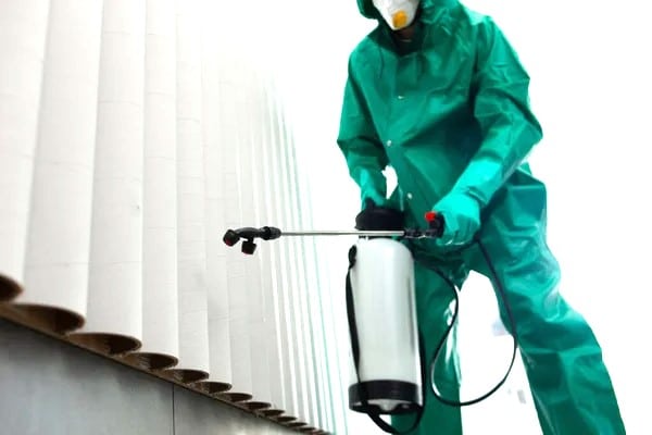 Dedetização centro rj