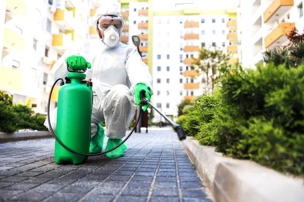 Dedetização baratas centro rj