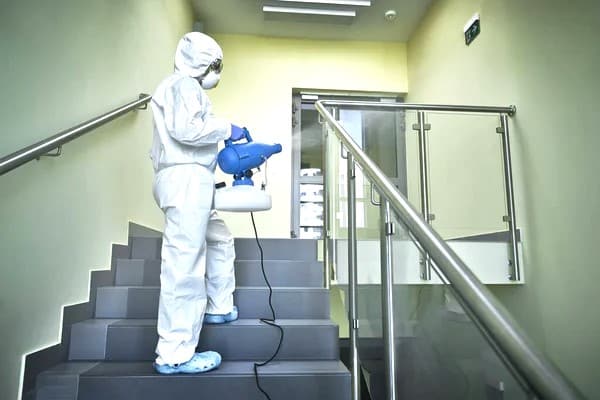 Dedetização cupins centro rj