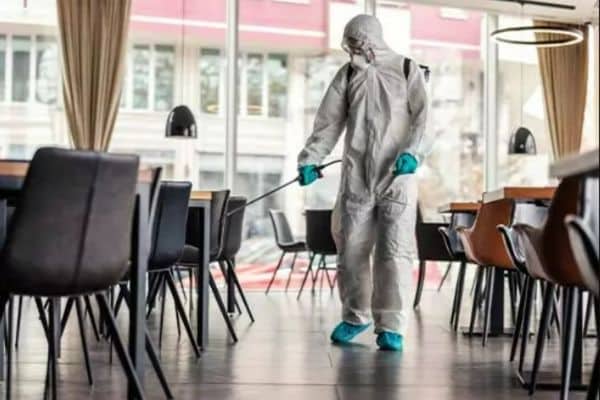 Dedetização de bares e lanchonetes no centro rj