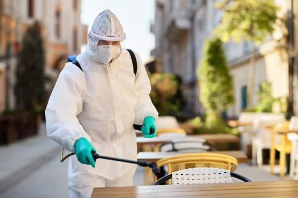 Dedetização de bares e restaurantes no centro rj